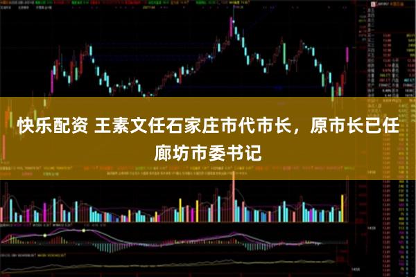 快乐配资 王素文任石家庄市代市长，原市长已任廊坊市委书记